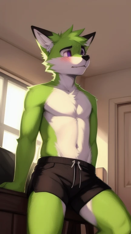Male Springtrap big bulge
