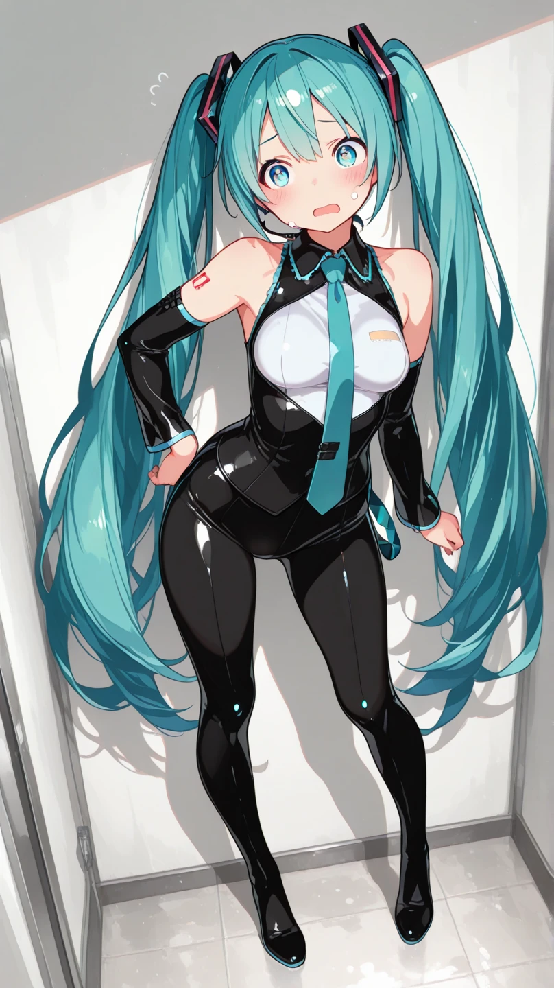 Hatsune Miku VOCALOID、Big Breasts、Latex bodysuit、High heels、Ultimate Physical Beauty、Inside a love hotel、