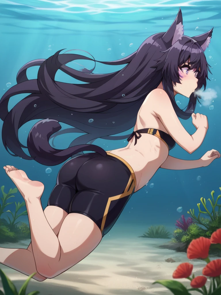 Under the Sea, Anime cat girl in a swimsuit jumping, an anime drawing by Puru, pixiv, furry art, sfw version, Rear view, from below, UHD, masterpiece, accurate, anatomically correct, textured skin, super detail, high details, high quality, best quality, highres, 16k