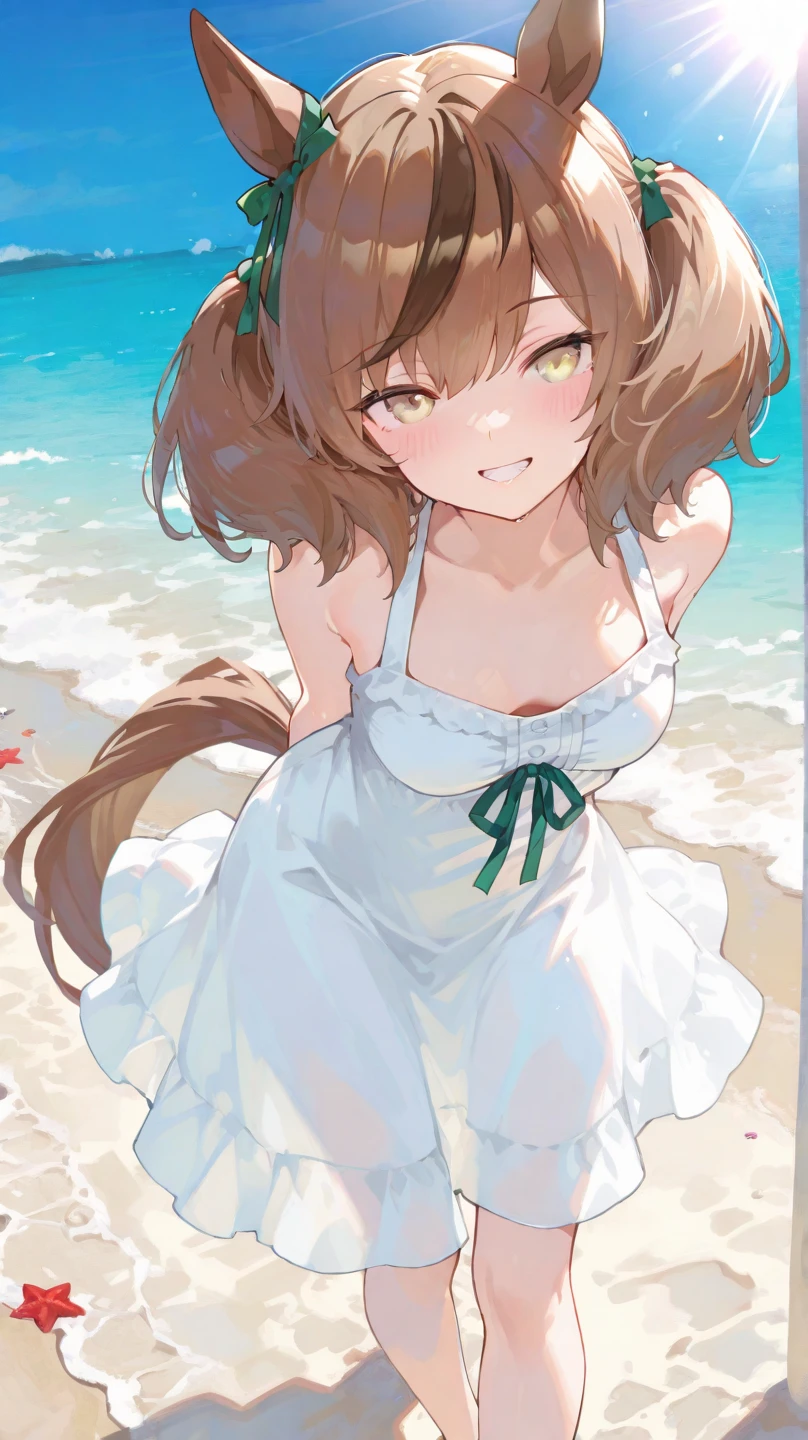 masterpiece, best quality, best aesthetic, ultra-detailed, aston machan \(umamusume\), (white sundress, see-through:1.5), <lora:aston_machan_lora:0.9>, cowboy shot, nice hands, <lora:nice_hands:1>, thigh gap, ocean, wading