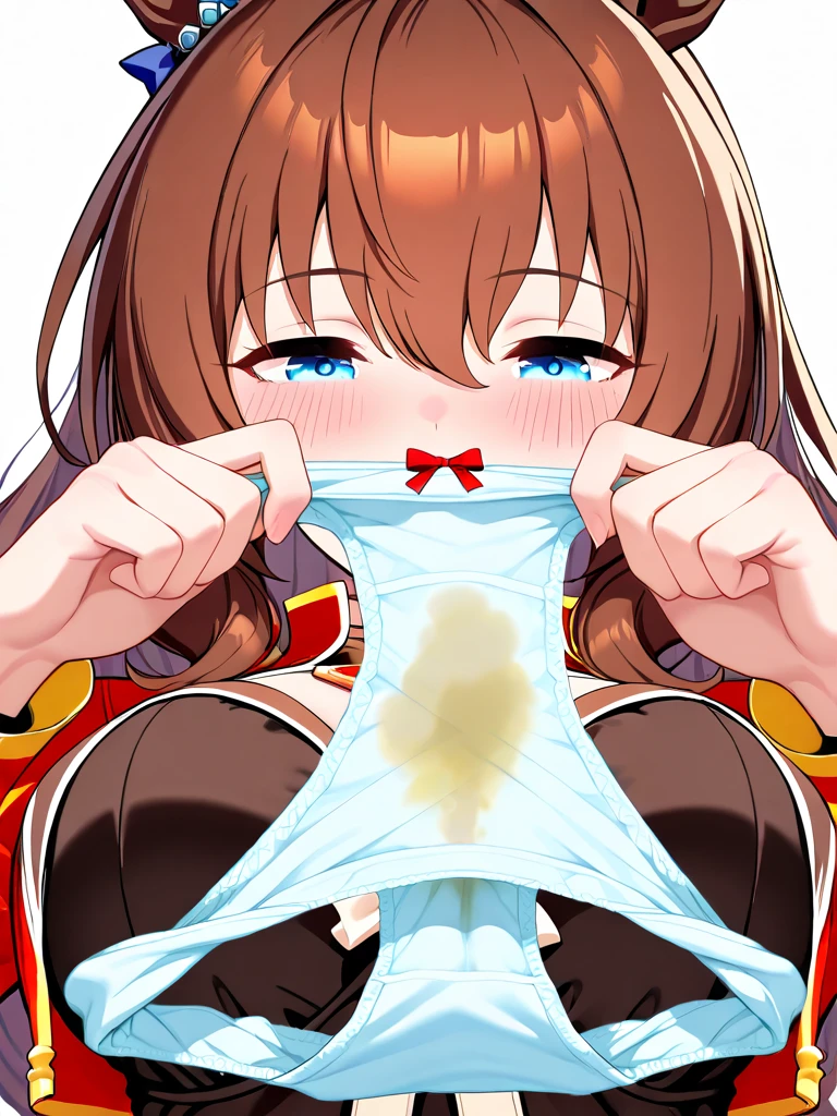 NSFW,masterpiece,Highest quality,High resolution,Super detailed,Reimu Hakurei\(Oriental Project\),Dark brown hair, Removable sleeves, Wide sleeves, Red Skirt, Red vest, Frills, whole body,Embarrassed,Frustrated face,Lust,blush,Expecting face,Seduce,Love Hotel at Night,Luxurious Room,(To flatter),(Sex slave),(Middle-aged men),(Having rough sex),put in,Creampie,(rape),(Squirting),(trembling),Prone,From below