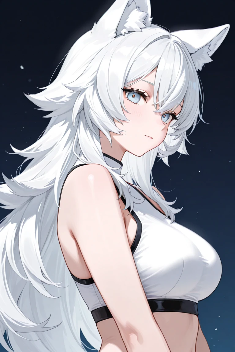 White haired woman, wolf ears, red eyes, short sleeve sweater, armpit, big breasts, focus on armpit