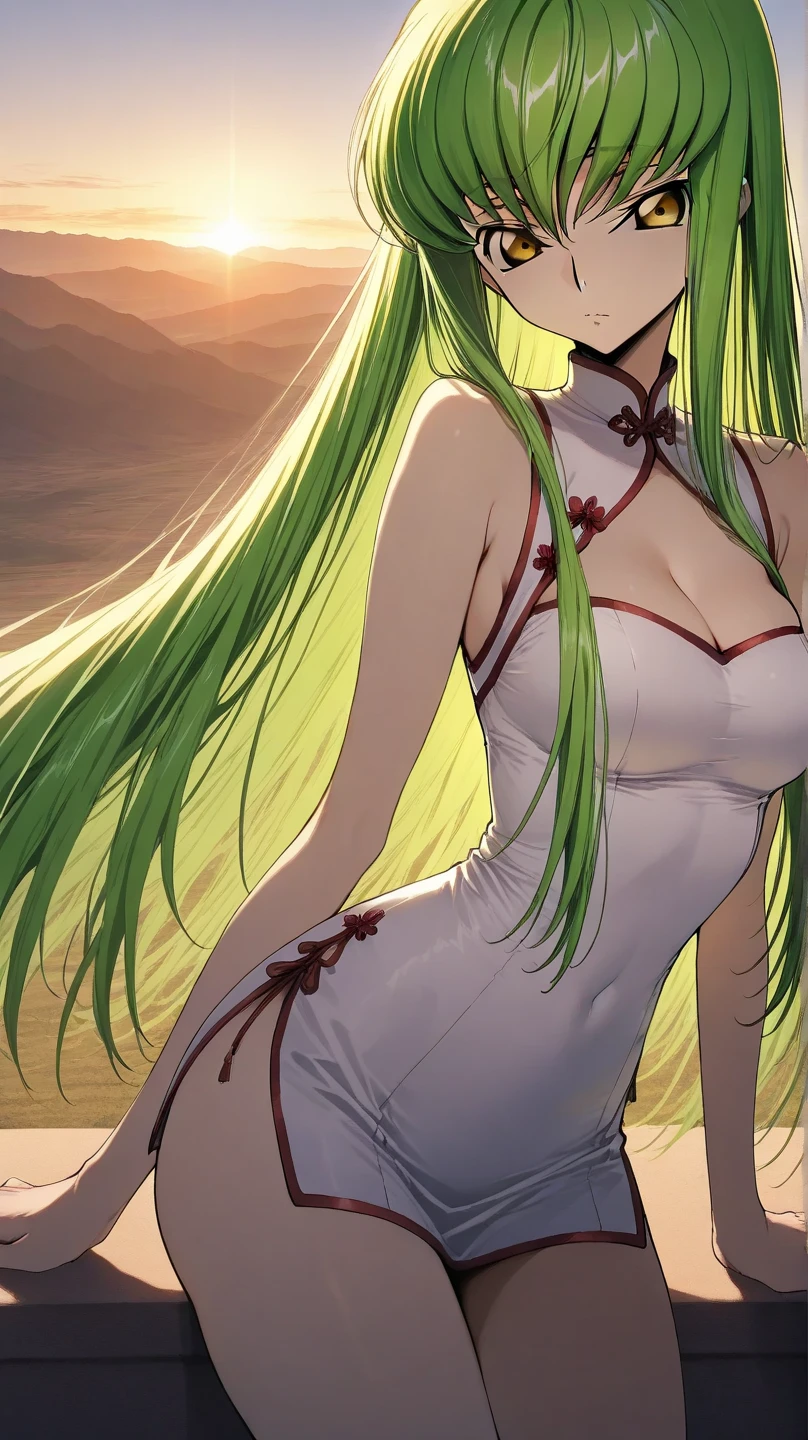 masterpiece, best quality, very aesthetic, absurdres, 1girl, mature_lady,white_dress,wet_clothes,(tortoiseshell bondage, red_rope, hand_behind, roped_body,bound by ropes:1.3) ,tears_in_eyes,,c.c(code_geass), 1girl, crossed_bangs, eyes_visible_through_hair, green_hair, medium_breasts, straight_hair, very_long_hair, yellow_eyes,,in the canyon,fog,dark,floating_clothes,