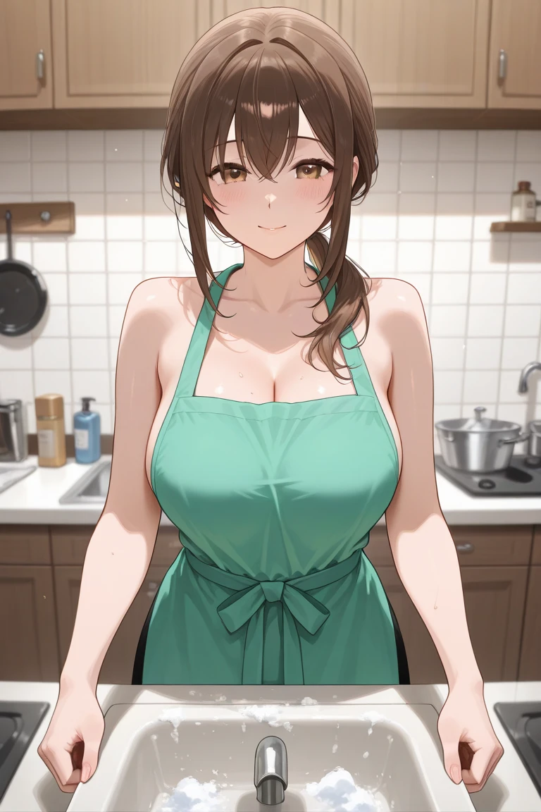 Big Tits,One mother,High resolution, accurate, Highest quality, Anatomically correct, accurate, High-resolution model, Ultra high definition, Wearing a thin lace apron,(((Naked under the apron,I'm not wearing any clothes,I'm not wearing a bra,I'm not wearing panties))),In front of the kitchen sink(((I'm doing the washing up))),Blushing, smile,