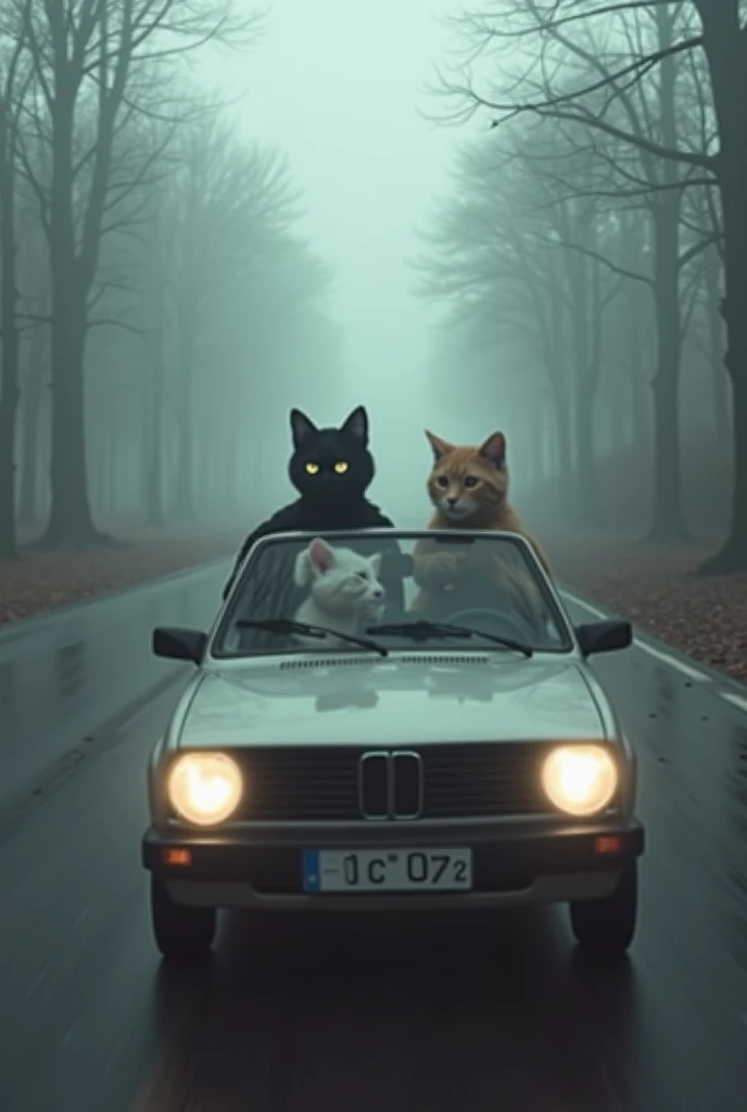 3 women wearing fox masks and kinape 2 women with big breasts and tied to the seats of the van with their eyes squinted and a gun pointed at their heads
