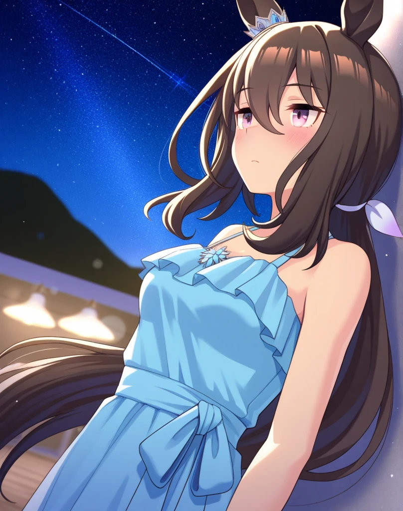 asuna,STAR, crown half up hairstyle,, mature female, dusk, dusk sky, sunset,Free Pose。Low - Angle、Brush your hair up