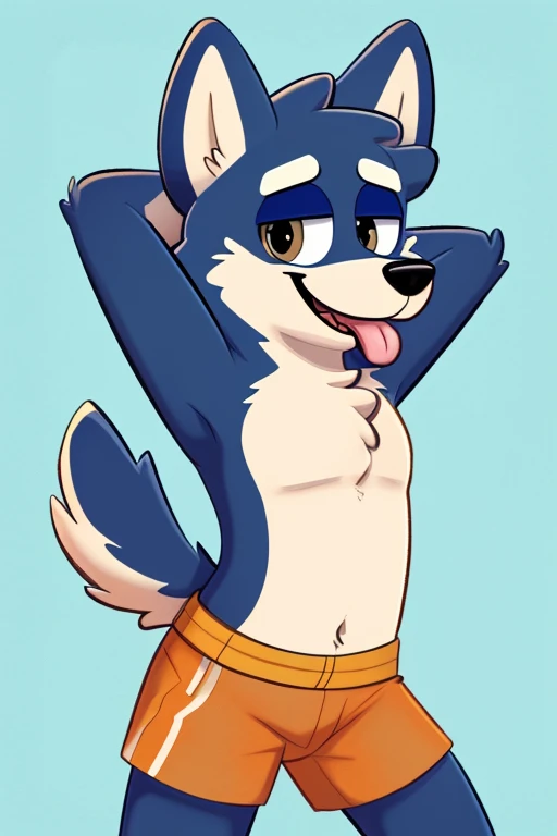 A young cub raccoon with black fur and red stripes, showing his tailhole. Small cock, balls, ass, gay, Dandi, Harmarist