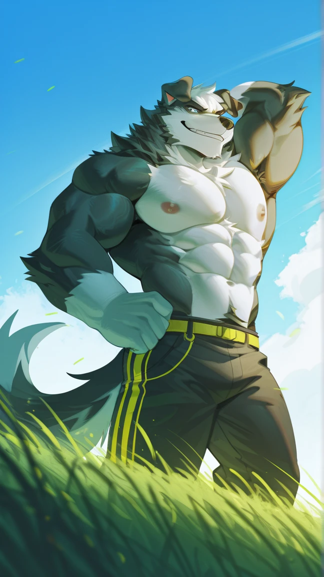 ((Solo)), male people, anthro wolf, (Multi-colored fur, White-brown:1.3, White tail pointed), (Height 2.1 meters,Tail length 1.5m), (Tough, Calm expression:1.2)), Abs, pinginuscular, A long big tail, field, by patto, walking