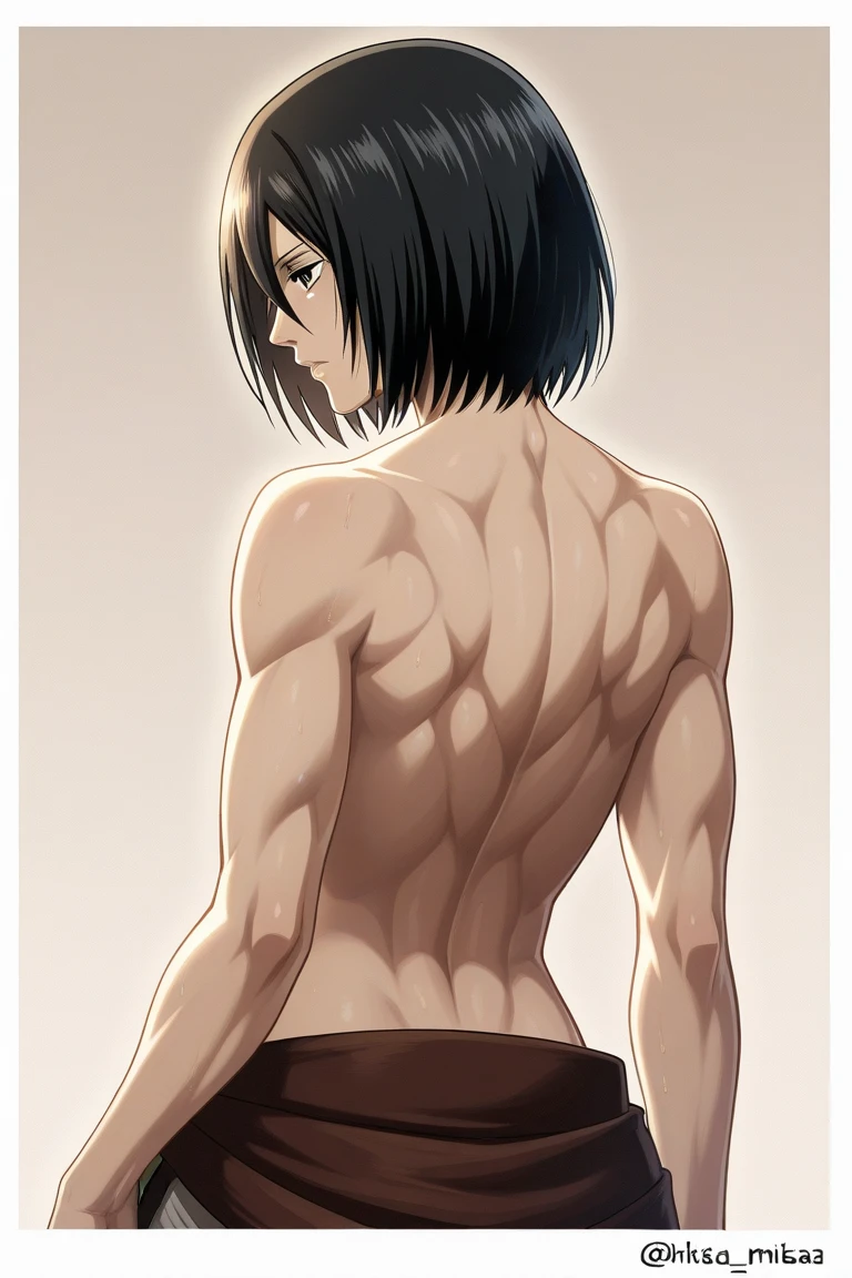 back muscles 