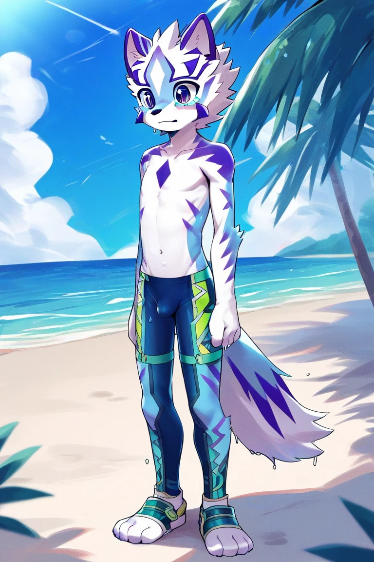 femboy, wolf boy, male, flat chested, grey fur, white feathered wings, blue eyes, crotch bulge, revealing one-piece swimsuit, beach setting 