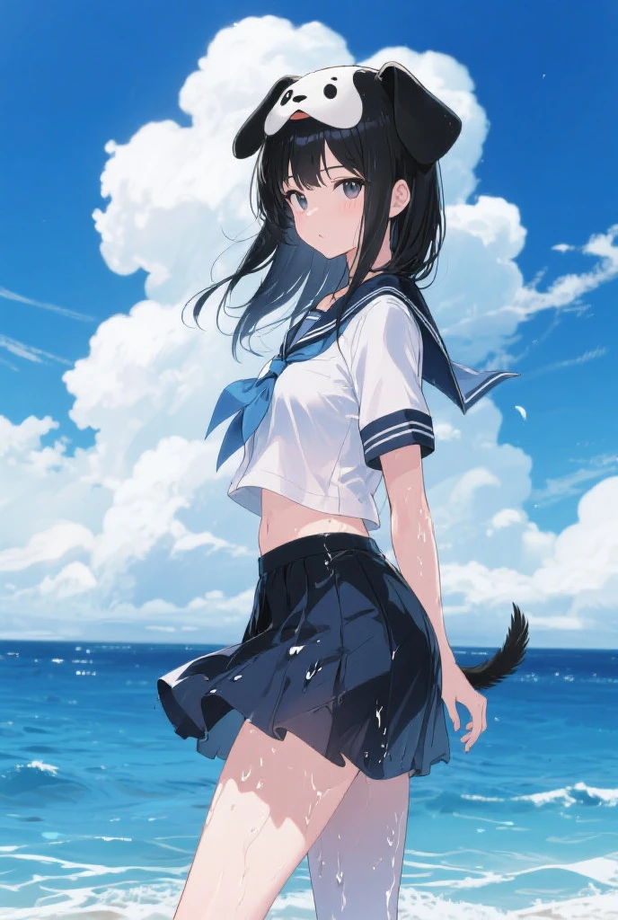 masterpiece,flat color,1girl,solo,black hair,blue eyes,smile,cat ear,white hoodie,ocean,noon,tornado <lora:Vector Graphics:1>