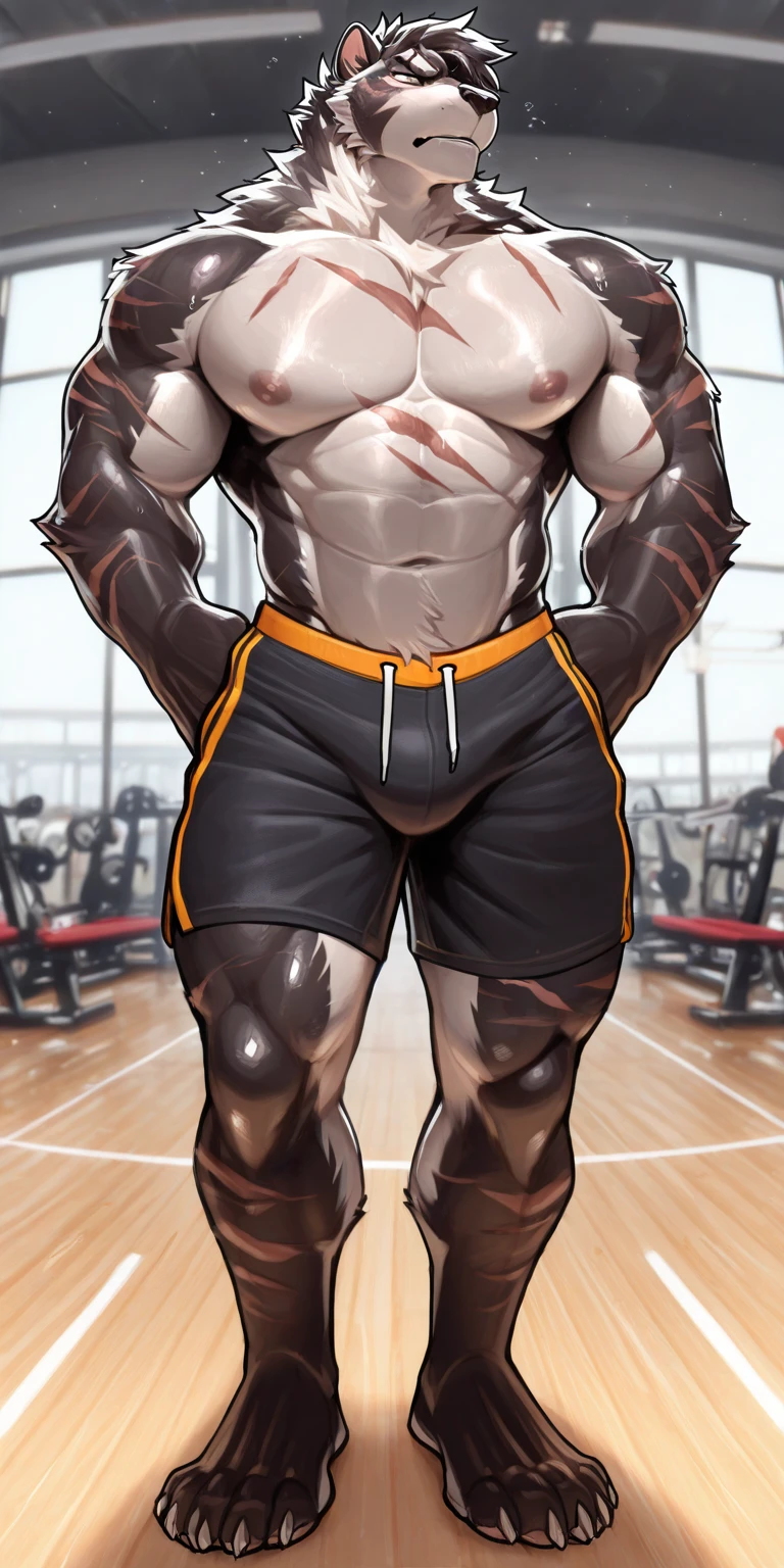 furry,kimono,anthro,
male,solo,
(barazoku:1.35),
dragon,dragon horns,dragon tail,
black body,red eyes,
looking at viewer, open mouth, smirk,frown,
sweat,steam,steaming body,
(towel around neck:1.2),
collarbone,
pink nipples,
abs,navel,
shorts,
barefoot, claws,
sitting,
(gym:1.5), on bench,
detail background,