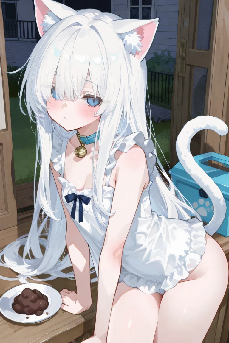 beautiful girl, cute, young, small limbs, short fingers, Big Breasts, Embarrassed face, large ribbon on the head, Thin and light clothing, dress, Sheer white lace tights, Thin, sheer white tights、Symmetrical eyes, whole body, Put your arms behind your back, naked,Cat ear,Long white hair,Light blue eyes,Sitting,Showing off your crotch,Spread your legs,