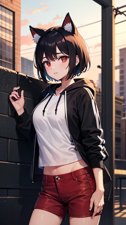 1 girl, (((ultra-detailed))), ((masterpiece)), ((illustration)), bust up, facing forward, petite woman, dark short hair, dark eyes, dark dog ears and tail, happy expression, lively body, hoodie and shorts, (futuristic modern)