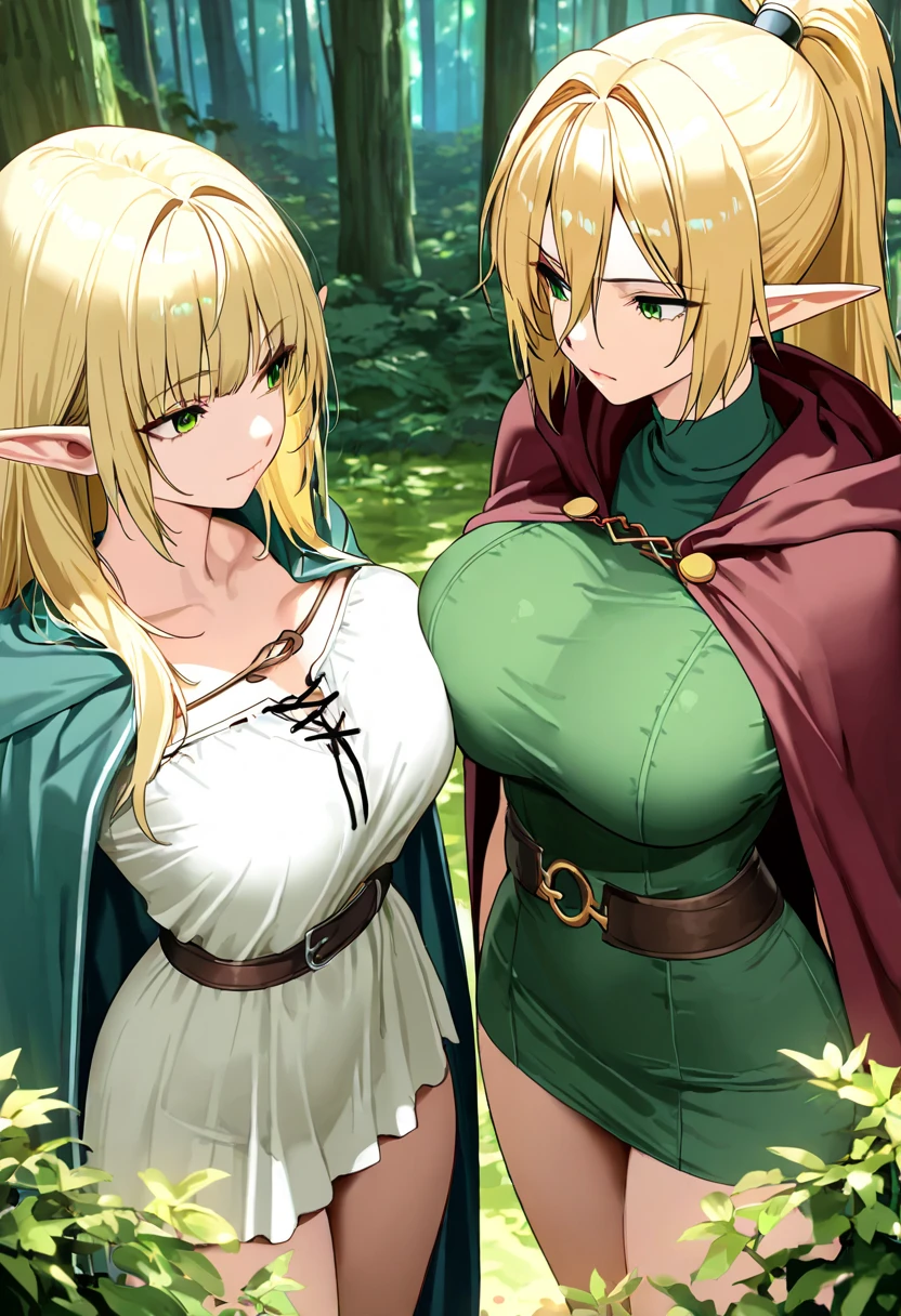 (extremely detailed fine touch:1.2), (natural light, sun light, light rays, dappled light, ray tracing:1.2), mature female , masterpiece, best quality, highly quality , ANI_CLASSIC_deedlit_ownwaifu, www.ownwaifu.com, pointy ears, blonde hair, long hair, elf, circlet, green eyes, long pointy ears, very long hair, breasts, medium breasts, earrings, lips, makeup, bangs, cape, armor, blue cape, shoulder armor, pauldrons, gloves, breastplate, belt, green dress, short dress, looking at viewer, blush, open mouth, standing, (Masterpiece, extremely detailed CG, sharp line),deedlit, offcial art, Colorful, Beautiful Japanese anime style,Extremely detailed eyes and face,Sharp pupils,realistic pupil,In the woods、cabellos largos dorados,ears of elf,Black lace panties,Slender thighs, varies multi etc. --v 6 --s 1000 --c 20 --q 20 --chaos 100