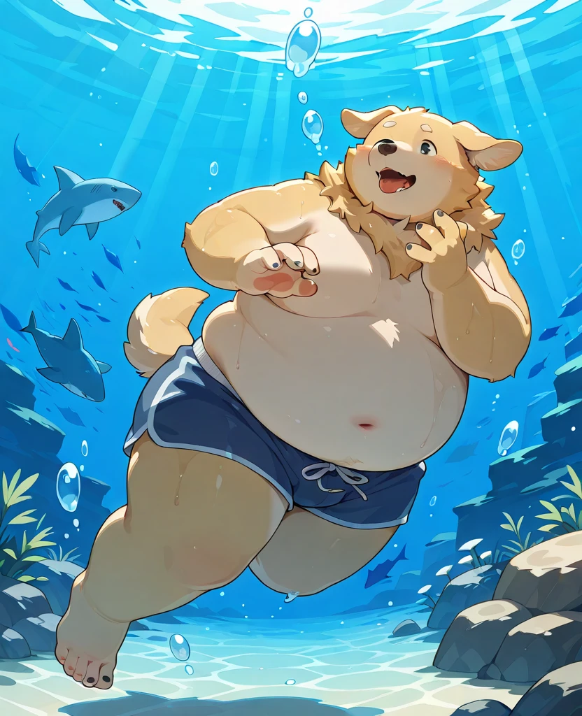 Scribble Golden Retriever face,Humanity(Golden Retriever),(Topless:1.3),Chubby,(Black eyebrows:1.1),(Perfect eyes),Golden fur,(artist:Takemoto Arashi),beach,(Tattered white underwear:1.3),paw,(black beard:1.3),(Collar:1.3),(Hip bulge:1.3),(Swimming ring:1.3),Swim in the water。