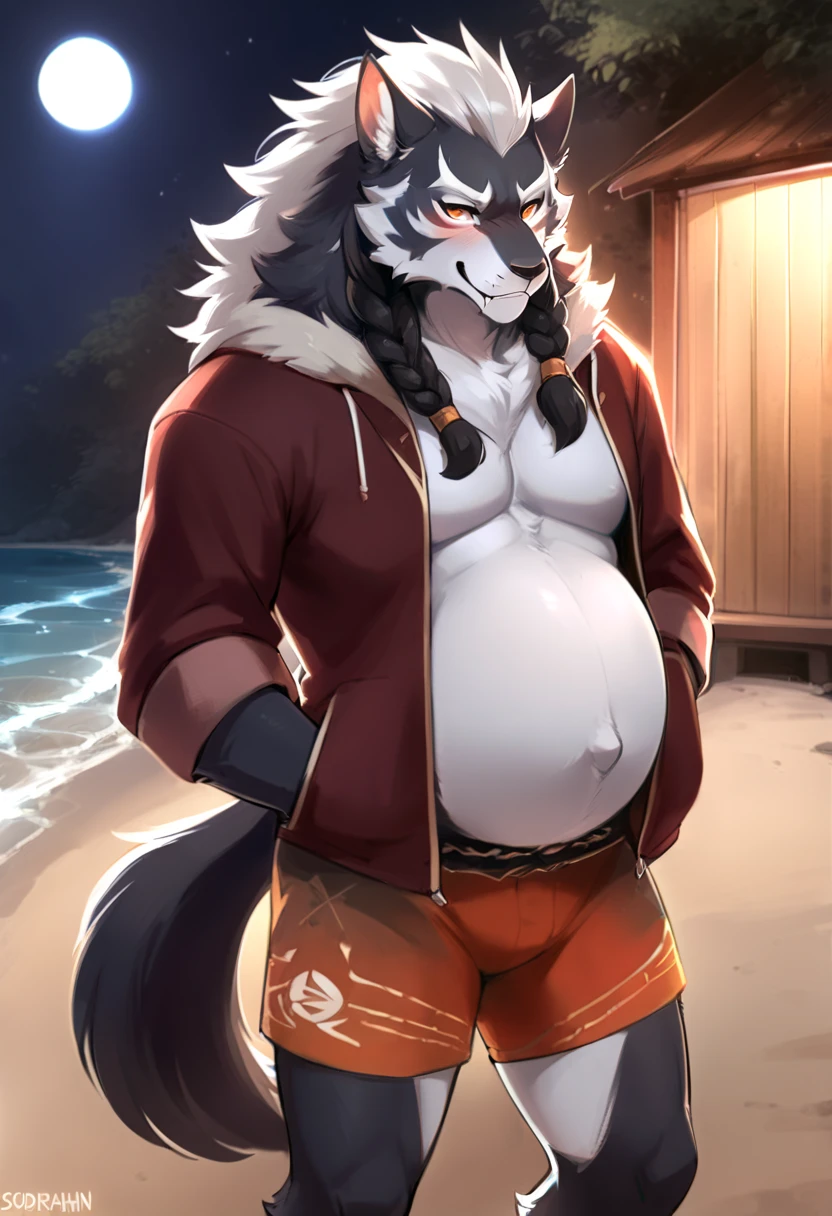((By Bebebebebe, by SpiritD, by K0BIT0WANI, best quality, masterpiece, perfect anatomy, detailed picture)), 1male, Blaidd, (Elden Ring), purple eyes, black sclera, sexy body, fluffy tail, underwear, red blushing, shy, in the beach, pregnant, front view