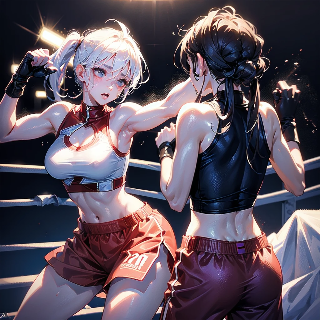 2girls, fighting stance, (from side)--, grey hair, brown eyes, braid, short hair, t-shirt, casual, thighhighs, sauna
