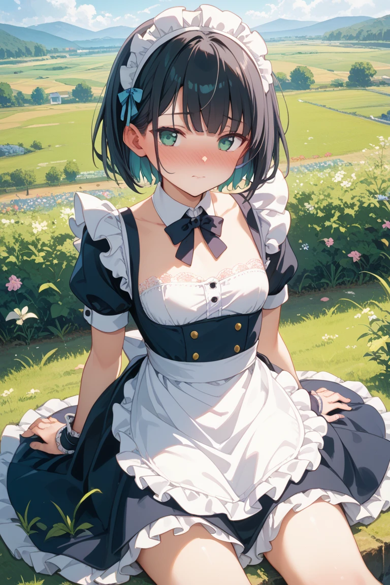 ((Top Quality)), ((Excellent)), (Details), ((Japanese)), Ultra-Realistic, Stunning Environment, Vivid Colors, , Black Hair, (Young Face), ((Straight Hair)), Shiny Hair, Medium Breasts, ((White Maid Outfit)), ((French Maid)), ((White Brim)), ((from_side)) , ((From Above)), ((Blue Eyes)), Half-Smiling, Upper Body, Shiny Hair, Blunt Bangs, ((Medium Breasts)),((Emphasized Cleavage)) , ((Leaning Forward)), ((Blue Eyes)), Masterpiece, Ultra-Realistic, ((Upper Body)), Outdoors, Grassland, Flower Field, Natural Light, Vivid Colors,
