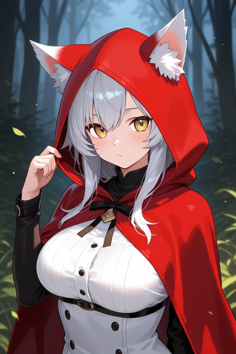top quality, best quality, High-quality illustrations, masterpiece, super high resolution, detailed background, (super cute girl, solo)Little Red Riding Hood, forest, girl, undressing, open Clothes, on back, absurdres(highly detailed beautiful face and eyes)perfect anatomy, embarrassed from, smile:0.2, good lighting, red blush, cinematic shadow(kemono, furry anthro), pov,