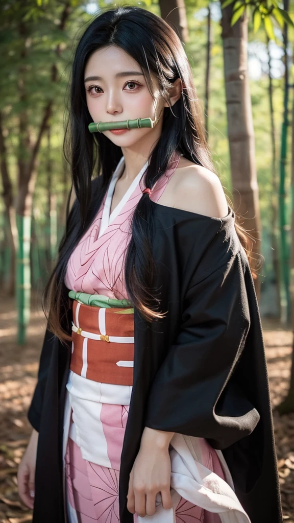 nezukokamado, nezuko kamado, bamboo, (bit gag:1.5), black hair, (forehead:1.5), gag, gagged, hair ribbon, long hair, multicolored hair, (pink eyes:1.5), orange hair, slit pupils, wavy hair, two-tone hair,
BREAK asa no ha (pattern), checkered sash, haori, japanese clothes, kimono, long sleeves, obi, pink kimono, sash, wariza, wide sleeves,
BREAK looking at viewer,
BREAK indoors,
BREAK (masterpiece:1.2), best quality, high resolution, unity 8k wallpaper, (illustration:0.8), (beautiful detailed eyes:1.6), extremely detailed face, perfect lighting, extremely detailed CG, (perfect hands, perfect anatomy),