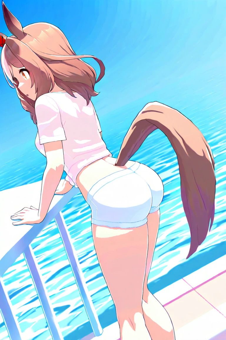 masterpiece, best quality, high quality, beautiful anime character, solo, anime girl with brown hair, soft hair, long hair, blue eyes, cat ears, slightly big breasts, mature female, tall female, big girl, thick, (calming face, light smile, loving eyes), outdoors, (white bikini), cat tail, navel, legs, stretching, wet, 