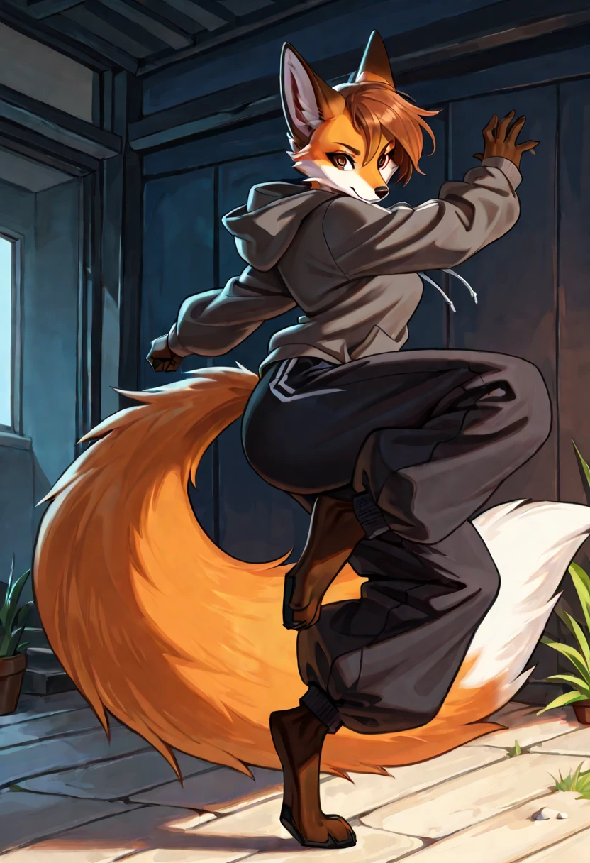 female, anthro, furry, solo, full body, fox, orange fur, brown eyes, hoodie, baggy pants, best quality, highly detailed, high resolution, detailed background, detailed clothing, detailed body, masterpiece, good anatomy, dynamic pose, fight_scene