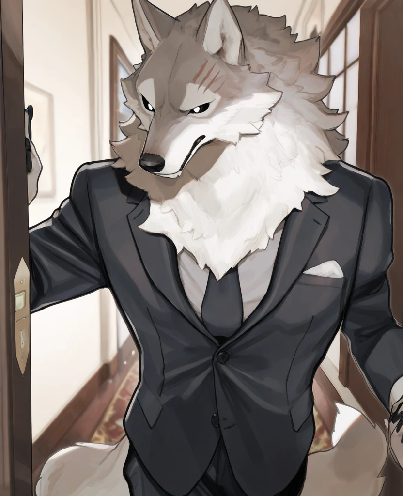 Bara,furry,big,male