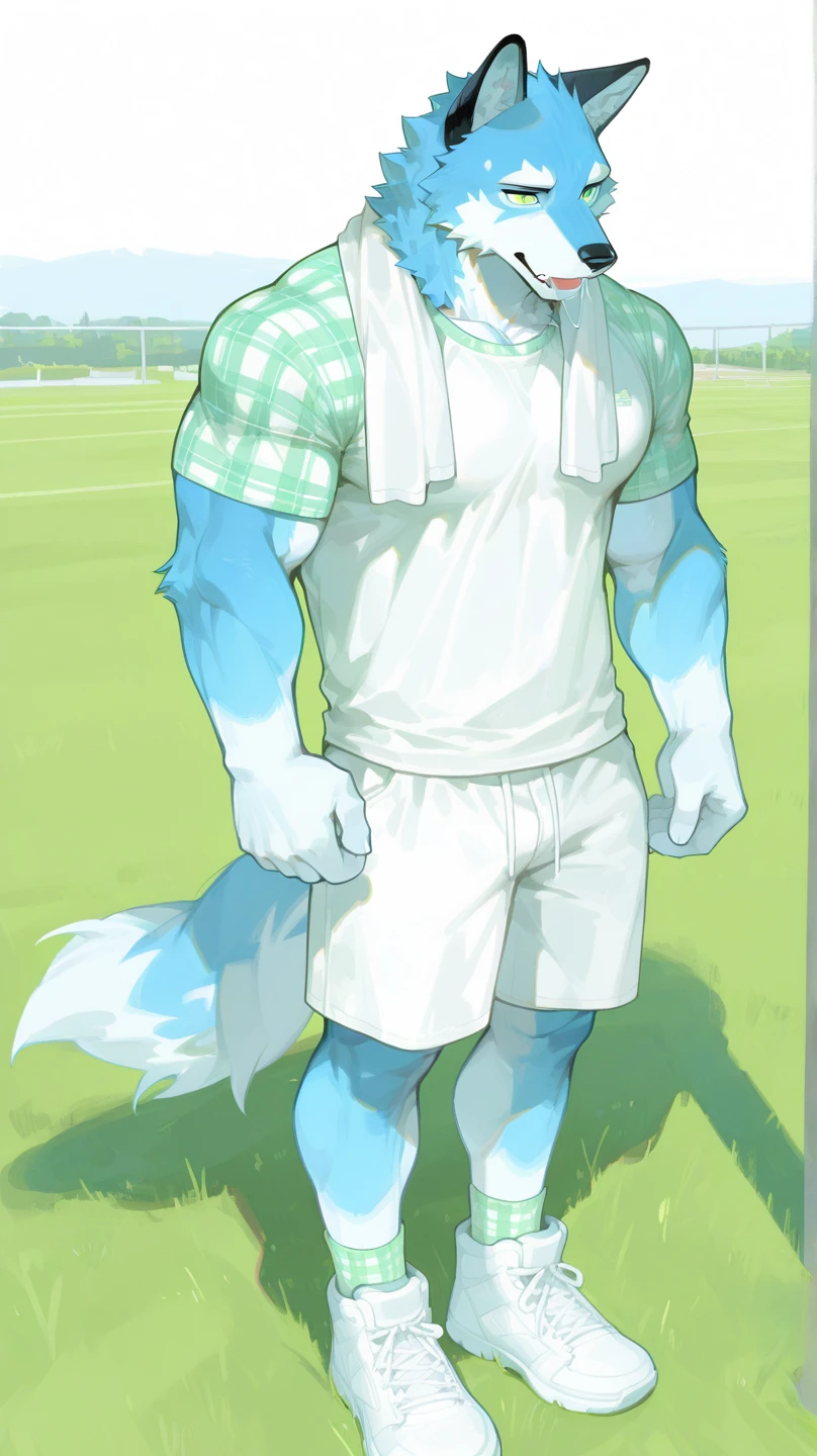 by zixiong, (1boy), solo, male, kemono, (blue wolf), white torso, (naked), wolf ears, handsome, muscular, adult, hunk, hot body, (detailed black eyes), detailed face, detailed hands, white eyebrows, (1 detailed big hard penis erection), thick body, nipples, (full-body), pectoral, a wolf tail, masterpiece, high res, best quality), 8k, perfect art, (nsfw), (lineart), best anatomy, golf course