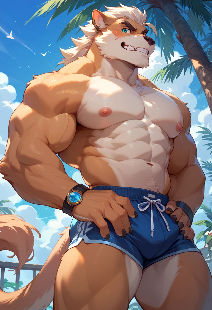 squatting, 1 boy, guy, bikini, Jaked, Tight muscles, deer shoulder, Raise one arm, A muscular figure, Spread your legs, sandals, Shake your arms, jacket,