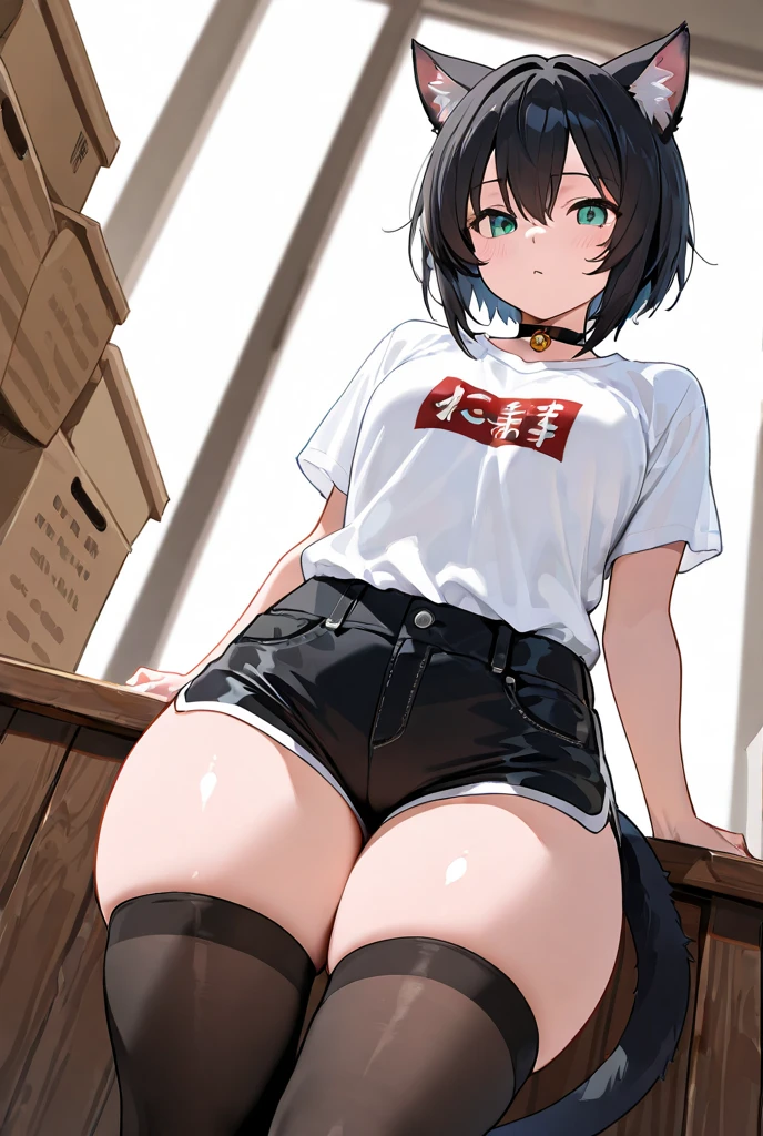 Erotic manga、highest quality、Cool feeling、Late Night、Busty high school girl carrying a guitar case、Sex Appeal、Mordred、smile、Perfect proportions、Punk Fashion、Fatty legs、Clear eyes、Spread your legs、Belly button、Moriman、Exposing pussy、Cowboy Shot、Sweaty