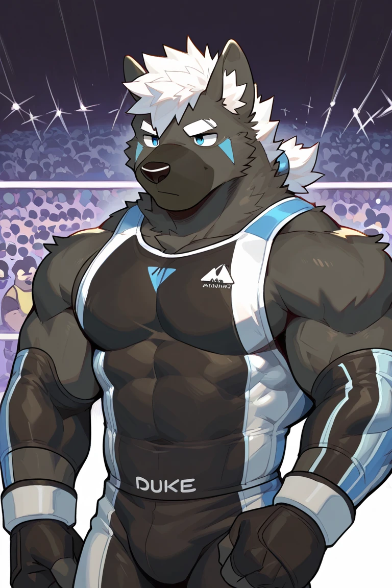 Bull, boxer, white sleeveless shirt, shorts negros 