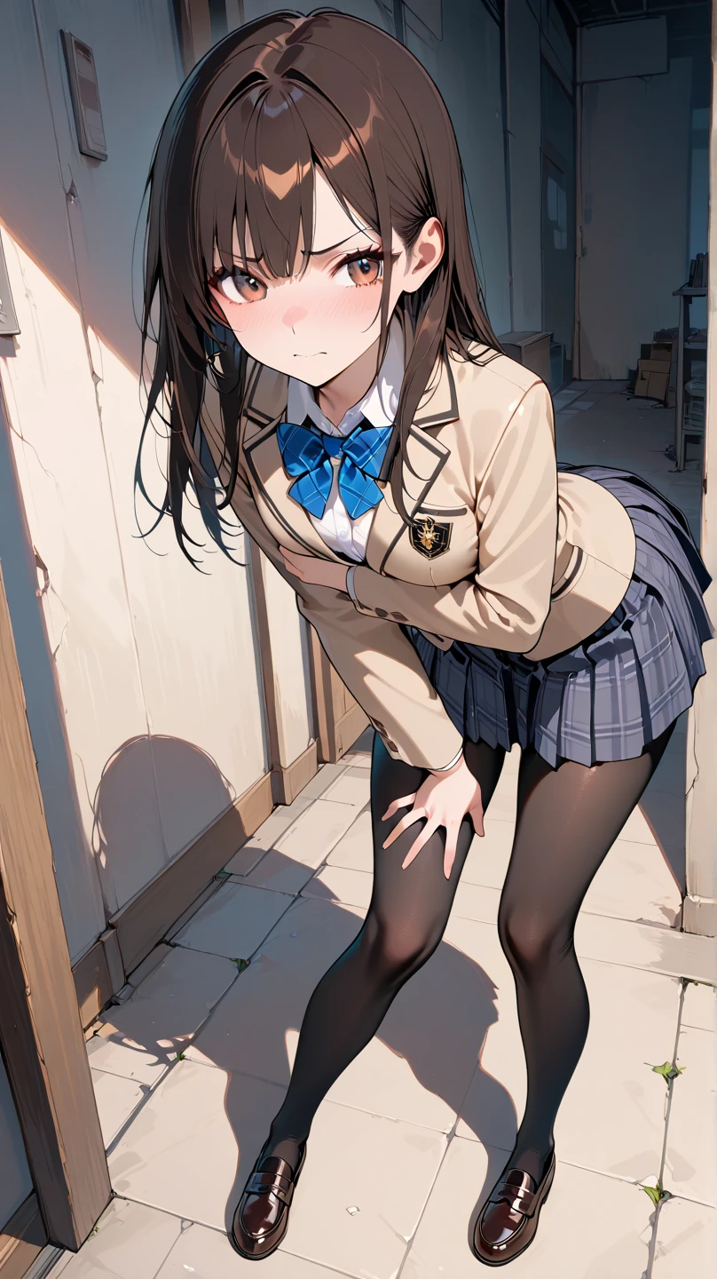 masterpeice, best quality, anime, slightly top angle, 1girl, solo, age of 16, (((school uniform))), white shoes, blue tip, white socks, blazer, brown sweater, collared shirt, neck ribbon, blue skirt, black stockings, squatting, spread legs, facing foward, looking down, (((cute underwear in blue))), (embarrassed:1.5), (sad:1.5), school hallway