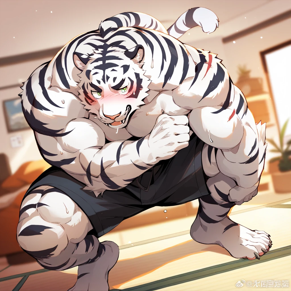 furry, anthro, male, ((solo)), white tiger, tiger, white fur, white skin, tiger pattern, huge body,(cute:1.8)
(((((by luwei, by rossciaco, by kumayaki)))by null-ghost, by estper, by sollyz, by takemoto_arashi, by milkytiger1145)) (by bakemonoy, by istani, by hyaku:0.5)
(((high detail:1.2, absurd res, good anatomy, eye highlight)))
(mature, masculine,Bodybuilder,strong pecs,vascular veins,huge pecs, manly, handsome, very smug smirk,),(bulging (biceps:1.5), bulging triceps, massive lats:1.5),(Flexing),((detailed eyes, black thick eyebrows)),
nude, nsfw, ((face focus, Grin face, open mouth)) (saliva, bodily fluid)
blush, ((bedroom eyes, narrowed eyes)),
indoors, bedroom
((looking at viewer)), (((high angle view(from above))))