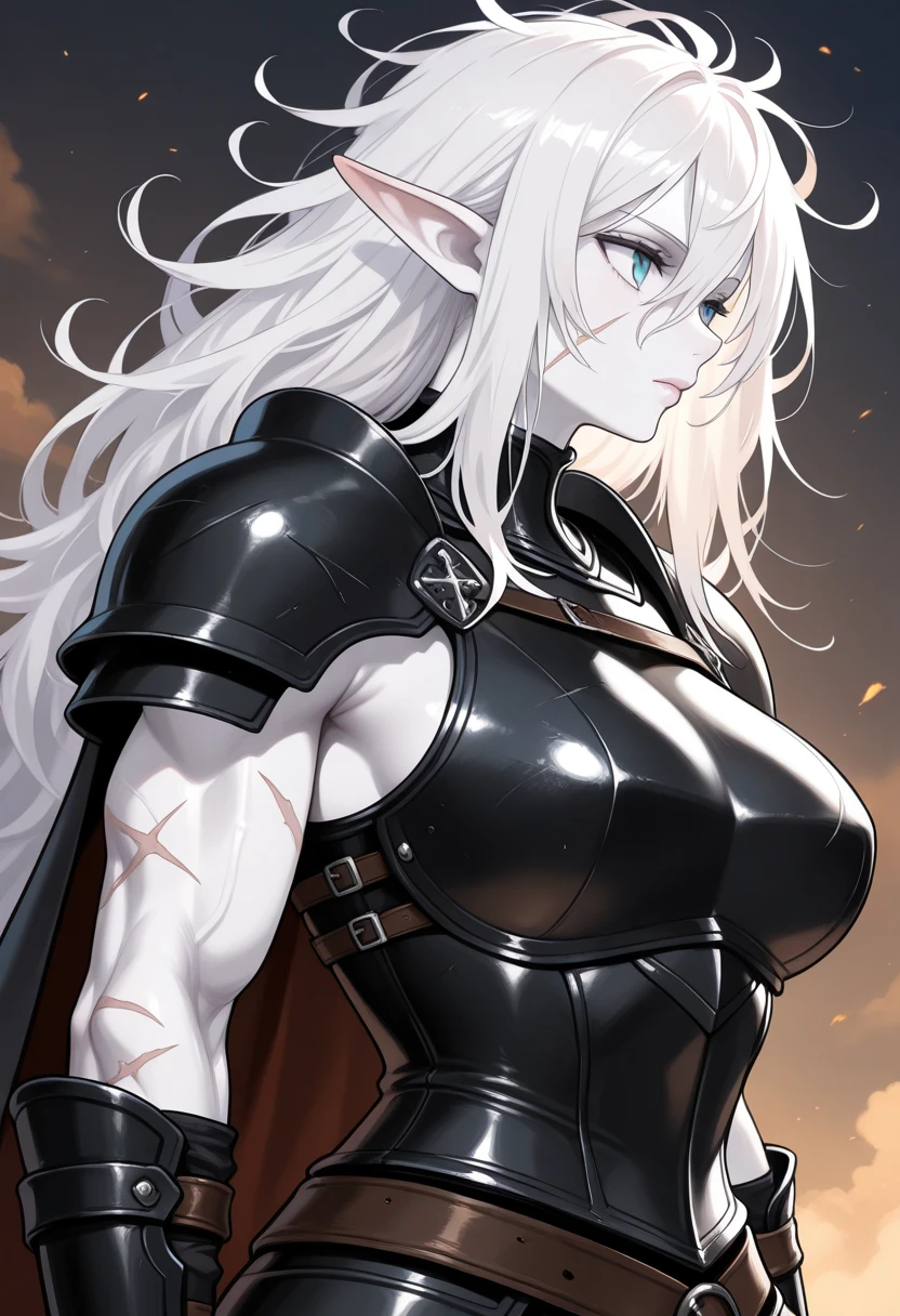 vampire, , masterpiece, best quality, super detailed, illustration, super detailed face, best face, evil, adult, 1girl, 40 years old, big breasts, no humans, white hair, war, belt, marks of spades, terrible armor, cape, pale skin, intricate details outfit