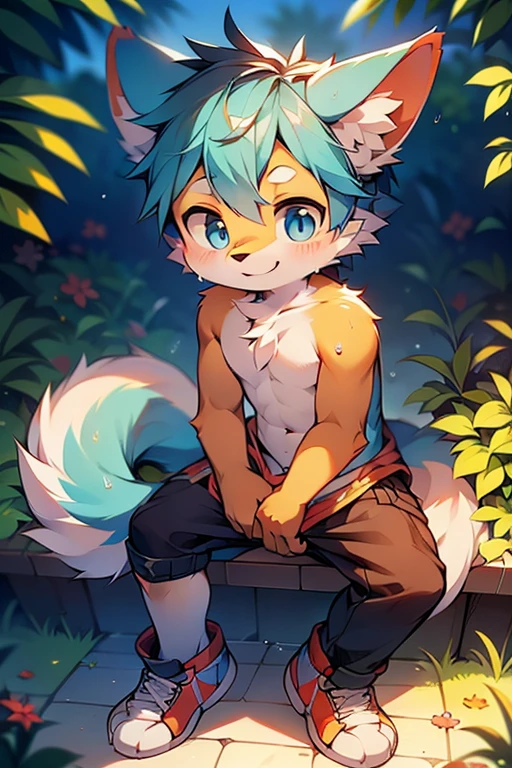 Orange fur,White hair,Black Blue Eyes,fox,Blue shorts,Blue sneakers,boy,Lovely。