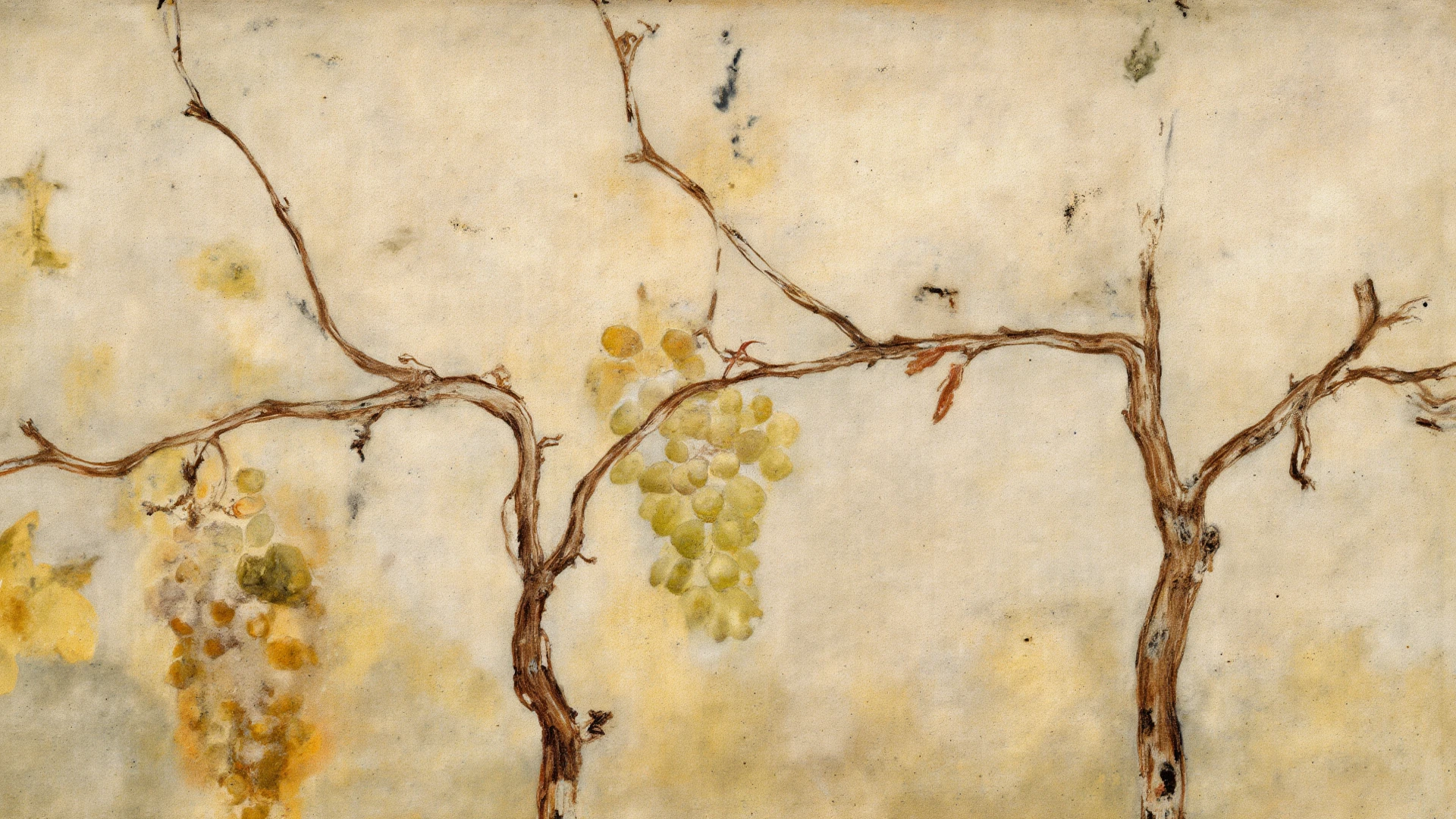 Hand closeup, someone is harvesting a grape branch with a knife, vineyard, Illustration, modern watercolor, lighting, 4K --auto --s2