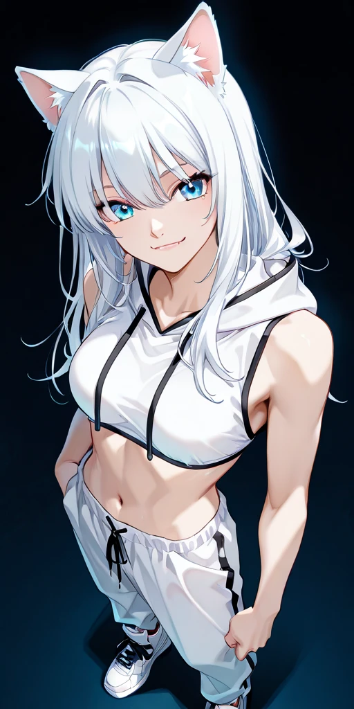 beste Quality、ultra precision、Onegirl、a Cute little girl、cat ear、childish、boyish、Cool、Tsundere、Beautiful eyes、Blue Eye、silver-hair、The little girl、be shy、Smooth hair、bikinis、