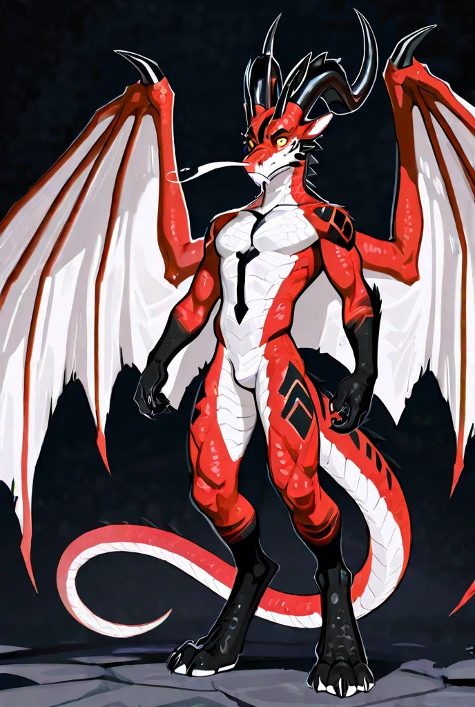 Solo, Score_9, score_8_up, score_7_up, source_cartoon, kemono style, male, A black dragon, black dragon with red highlights on scales, black and red wings, blue eyes, standing, naked, 