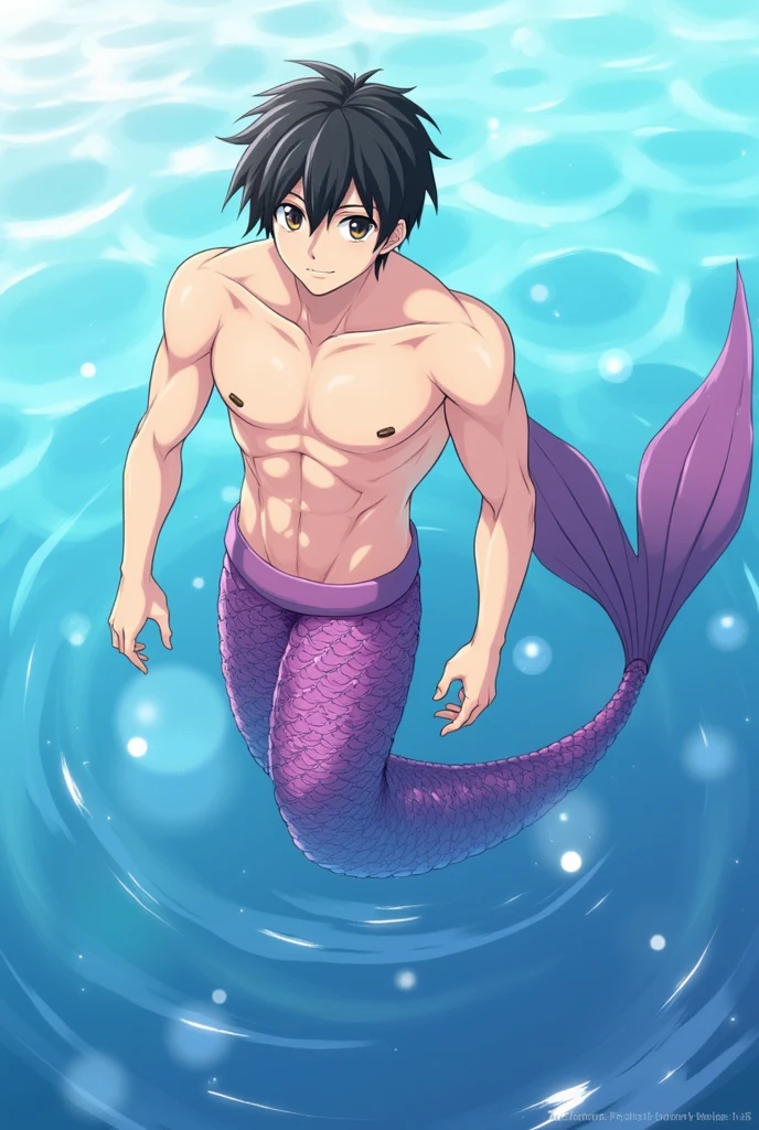 Merman, male chest, abs, long merman tail below waistline, black hair, braid, smile, blush, underwater,
