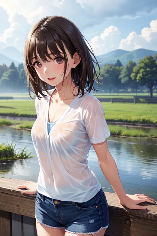 Japanese Female Idol, 20 years old, Highest Quality, masterpiece, ultra high definition, (realistic:1.3), RAW photos , (one girl with arms), (upper body), (20 years old), (smile:0.9), (shiny skin), (wet hair, medium hair, dark brown hair), (wet, transparent, Badly disheveled, open chest shirt), (casual shorts with very intricate openings),(medium chest) (Highly Detailed Faces), (Extremely Refined Eyes), (Highly Detailed Nose), (very elaborate mouth), (Highly skilled hands in a rural landscape), (VERY DETAILED BOOK ), Rainy Day,Sony a7, 85mm Lens , f9.0、,
,( masterpiece, best quality, high resolution, ultra high resolution, pixel perfect, depth of field, 4K, RTTX10.0),
、Anegasaki Nene, shiny brown hair, beautiful brown eyes, , sparkling pupils, (fine grain), , highly detailed face,, (masterpiece:1.2, best quality), ((only1 girl)), ((cowboy shot:1.5))
