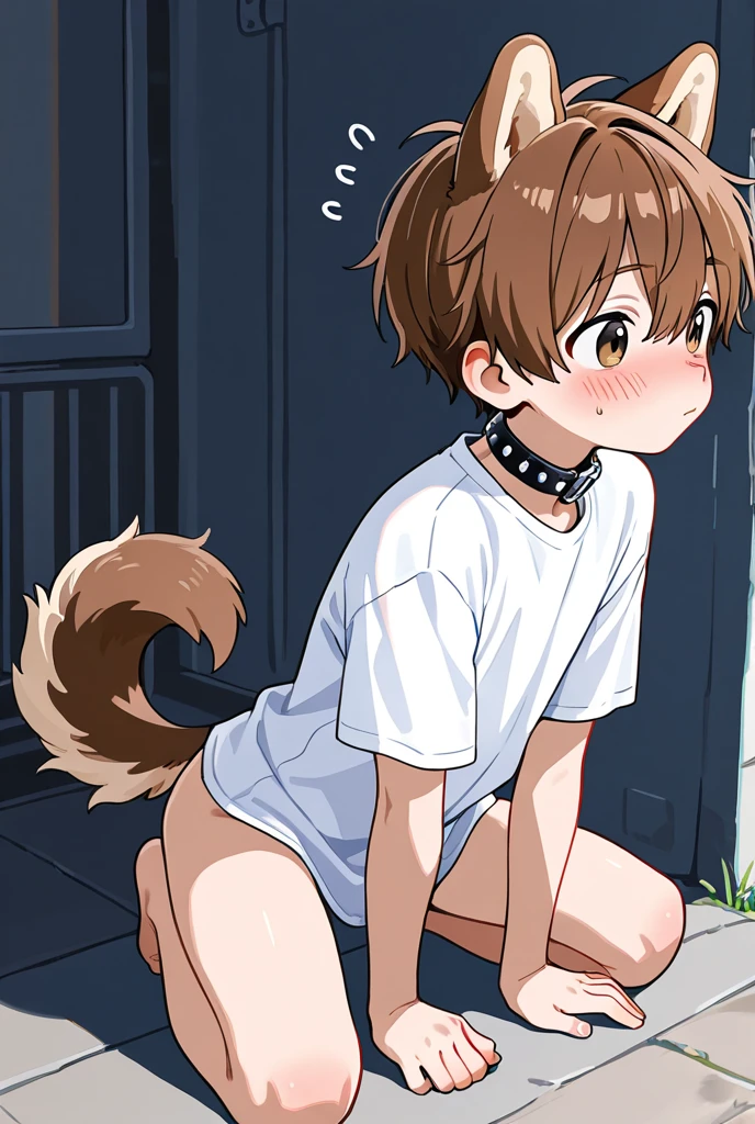 The human,shoun,Male child,Shota,fullnude,Erect,dog collar,Dog tail,Canine ears,Urban streets,Dog Pose,Embarrassed look,pleasant sensation,On the back,Arms on chest,Spread legs,Looking at the camera,put out the tongue