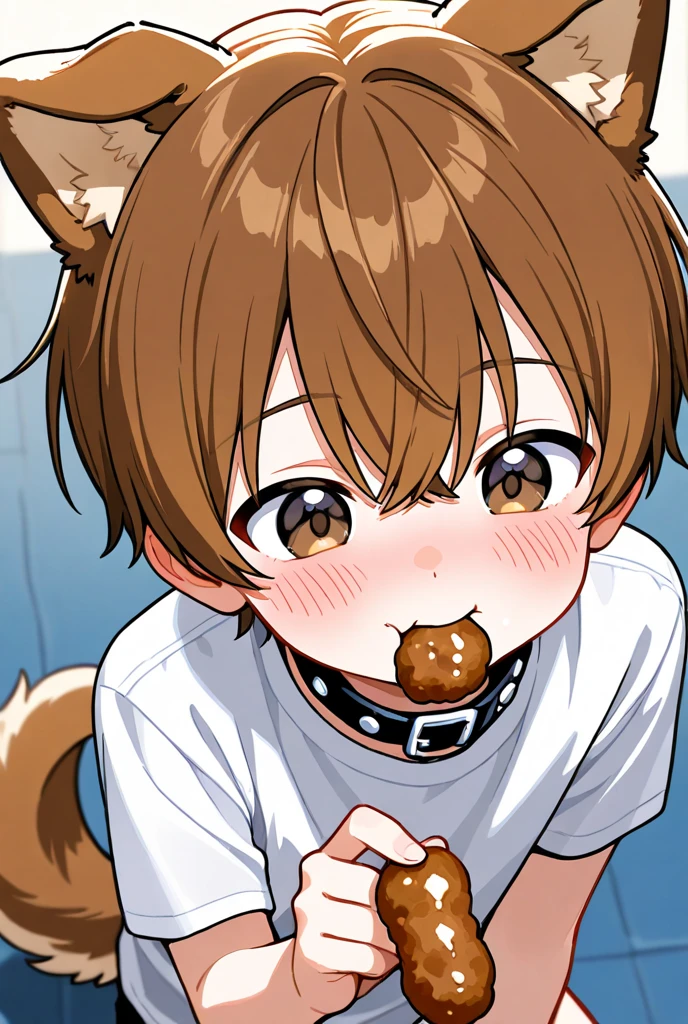 masterpiece, best quality, 1boy, fullnude,erect,bed, bedroom,  all fours,looking_at_viewer, on_bed, penis,  pov, realistic, ((The human)),shoun,Shota,fullnude,fake dog ears,dog collar,fake dog tail,Shy face,Teary-eyed,tongue out