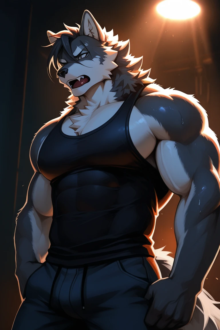 Solo, Male, Black Furry Dragon, Gray Medium Hair, Gym Set, Gray Facial Hair, Purple Eyes, Muscular, Good Looking, Handsome, Sweating, Hot, Caressing his own abs, Gym Background,exposed penis, erect penis, curved penis, penis details, penis shooting white semen, Sharp 3D penis, Penis color according to body color, big penis ,veined penis,Detailed face, full furry face parts