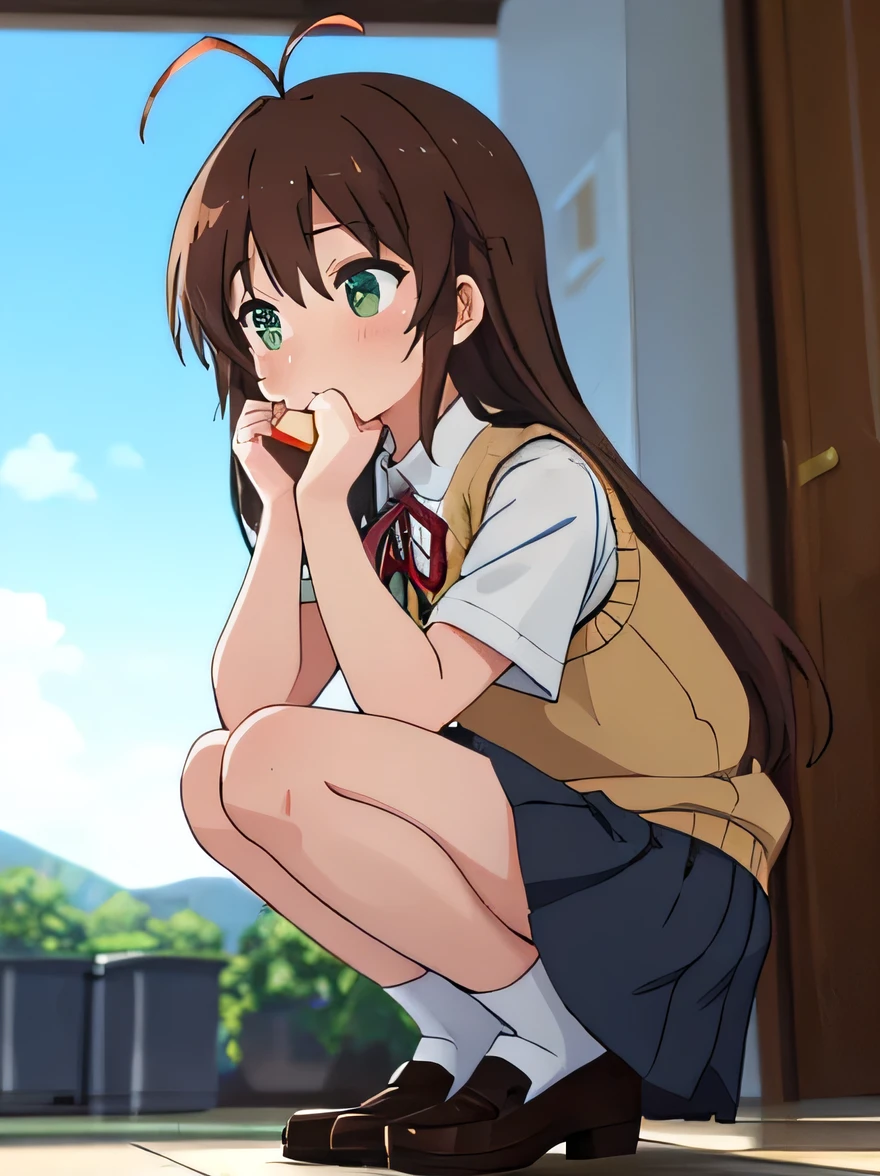 (masterpiece, top quality, nsfw), EXTREMELY detailed CG Unity 8k wallpaper, high definition, bold composition, masterpiece, best quality, amazing quality, very aesthetic, high resolution, ultra-detailed, absurdres, newest, scenery, depth of field, lighting , artistic composition screencap, flat anime, 1 girl, non-committal, dwarf, school uniform, sweater vest, neck ribbon, brown hair, long hair, antenna hair, bangs, 5 heads tall, tiny breasts, short legs, stocky legs, green eyes, Squatting with legs open, from the side, turning around, peeing self, (peeing), nose blush, gray skirt, cover she's face with one's hands