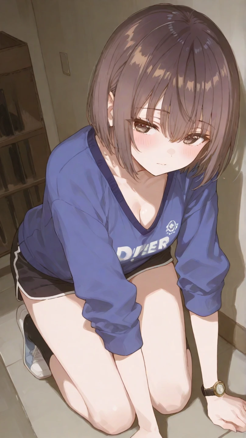 ((masterpiece、Highest quality、Very detailed))、One girl、Black Hair、short hair、Grey Eyes、evil smile、((Small breasts))、((gym uniform))、Cowboy Shot、socks、((knee up))、Gym storeroom
