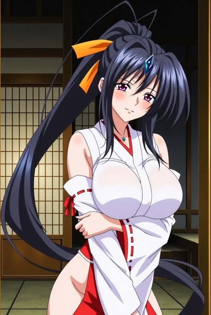 1 woman, akeno himejima, long black hair, ponytail, ((detailed eyes:1.2)), wearing translucent miko outfit, sexy, sensual, sleeveless, sideboob, underboob, masterpiece, top quality, best quality, official art, beautiful and aesthetic:1.2), extreme detailed, colorful, highest detailed