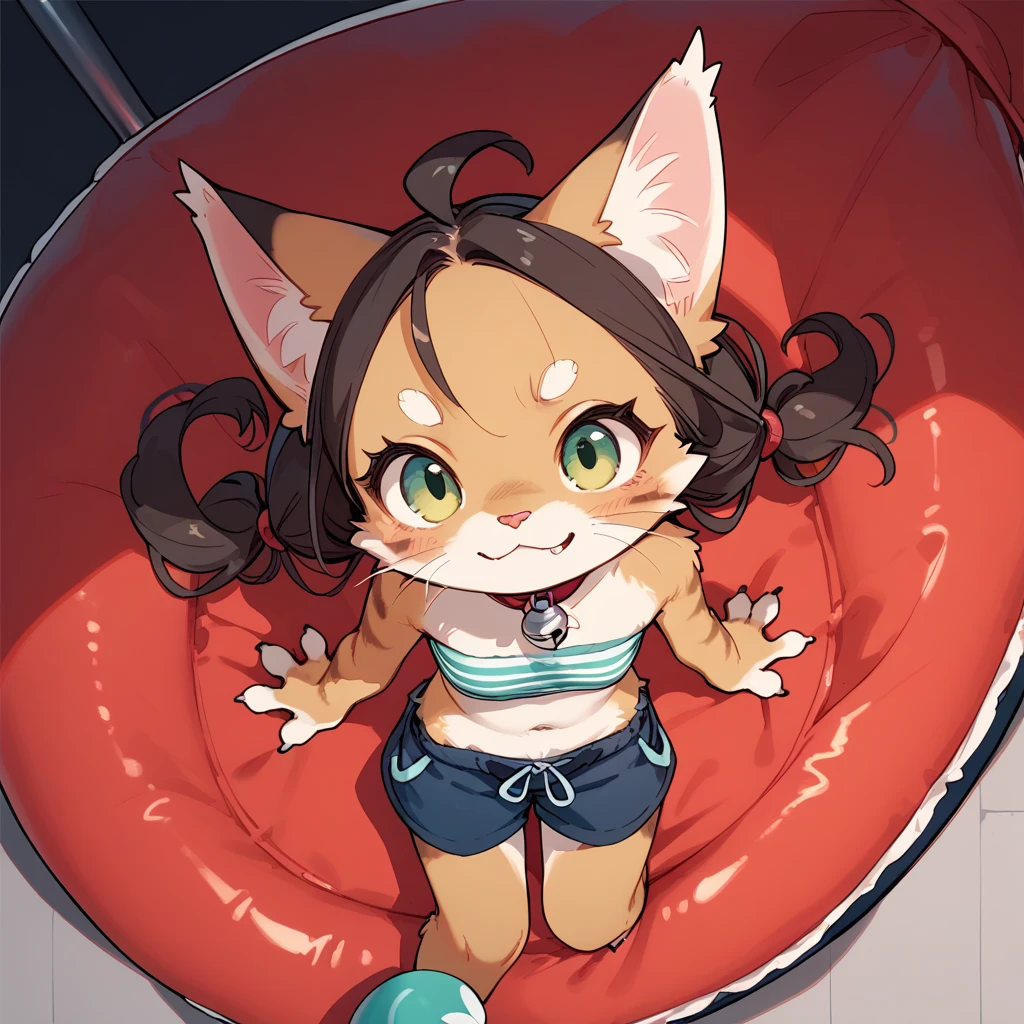 score_9,score_8_up,score_7_up, source_anime, temmie from undertale, Anthro girl, short silver grey hair, tall slender body, brown eyes, white furry body, canine feline hybrid girl, four ears, floppy white dog ears, white cat ears, wearing shirt, shorts, barefoot, feet paws four toes, sitting on a beanbag chair, playful pose, one leg up, seductive