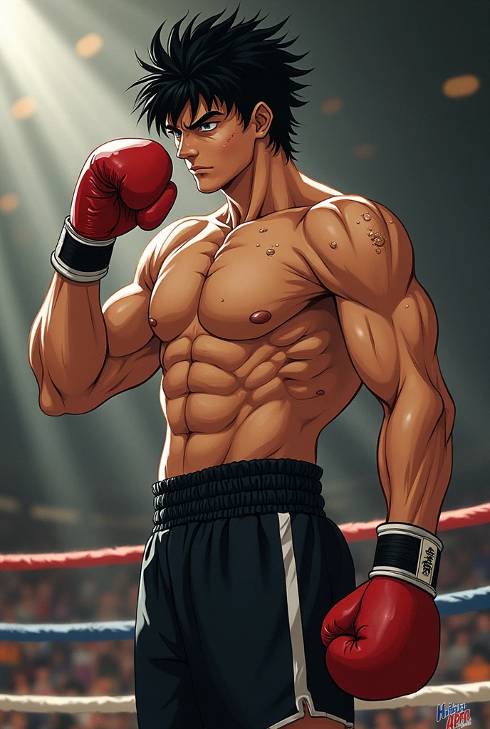 boxer