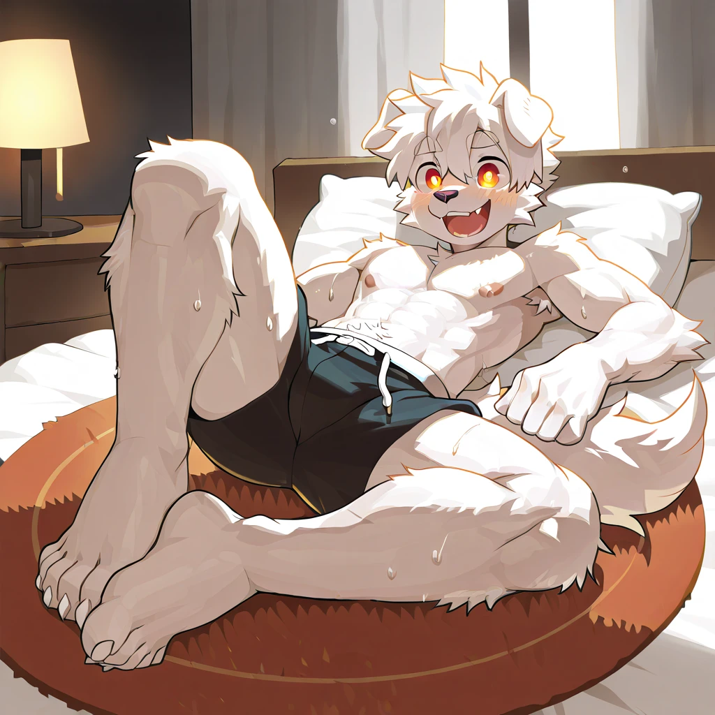 male white lion, blue underwear, liegt im blut